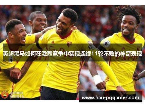 英超黑马如何在激烈竞争中实现连续11轮不败的神奇表现 英超黑马如何在激烈竞争中实现连续11轮不败的神奇表现