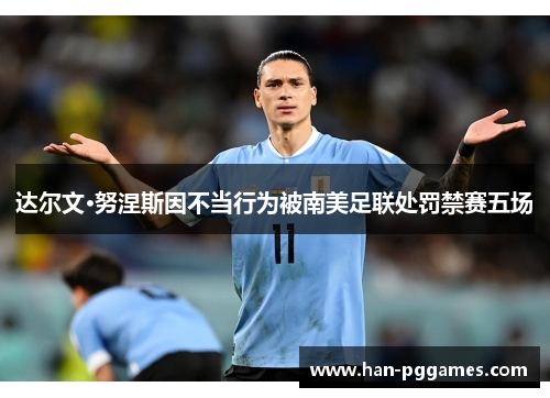 达尔文·努涅斯因不当行为被南美足联处罚禁赛五场