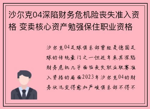 沙尔克04深陷财务危机险丧失准入资格 变卖核心资产勉强保住职业资格 沙尔克04深陷财务危机险丧失准入资格 变卖核心资产勉强保住职业资格